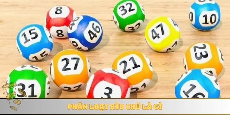 Phân loại xỉu chủ là gì