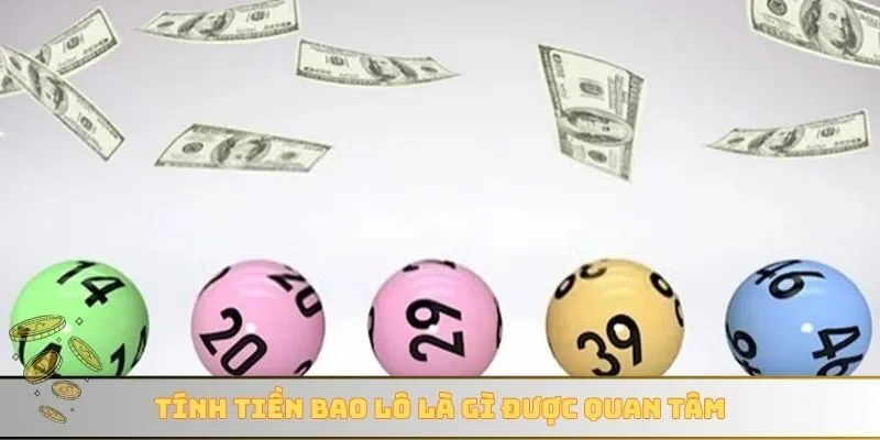 Tính tiền bao lô là gì được quan tâm